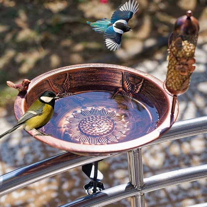 Backyard Birding & Wildlife