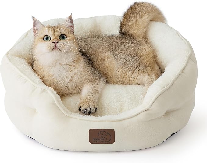 Dog Beds & Furniture