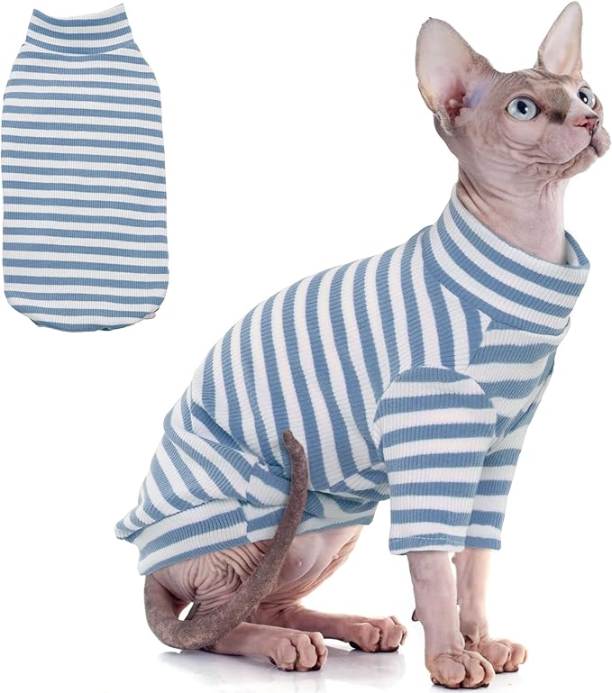 Dog Apparel