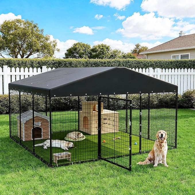 Dog Crates