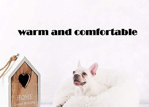 BODISEINT Modern Soft Plush Round Pet Bed for Cats or Small Dogs, Mini Medium Sized Dog Cat Bed Self Warming Autumn Winter Indoor Snooze Sleeping Cozy Kitty Teddy Kennel (24'' D x 8'' H, White)