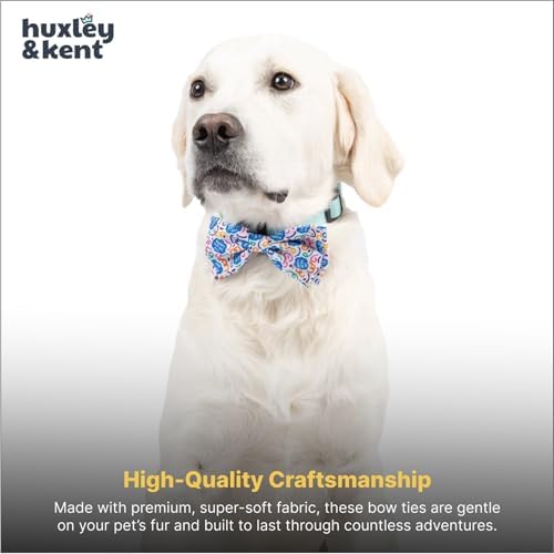 Huxley & Kent Pet Bow Tie for Dogs & Cats, Happy Got Me Day, Large/XLarge | Hook & Loop Attaches to Any Collar, Soft Polyester, Lightweight & Machine Washable, Perfect for Holidays & Photos