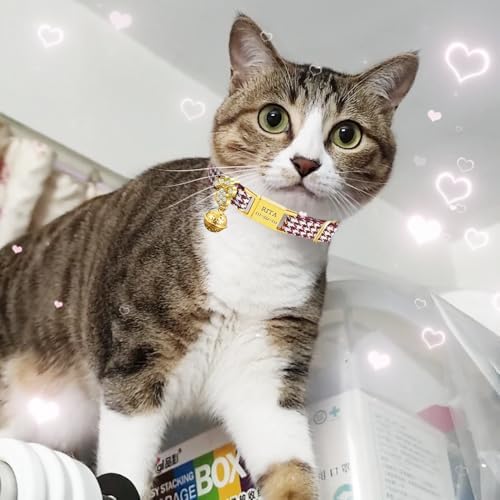 Personalized Breakaway Cat Collars - Magnetic Buckle, Bell - Safety Quick Release, Customized for Girls & Boys Cats - Houndstooth