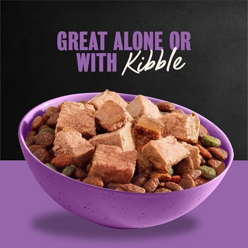 Cesar Classic Loaf in Sauce Wet Dog Food, Filet Mignon, 3.5 oz, 24 Count | Made in USA, Real beef #1 ingredient, no fillers/added sugar/artificial flavors, use as meal or topper, easy peel trays