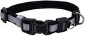 Coastal Pet - Coastal - Inspire Enhanced Core - Adjustable Collar, Grey, 5/8" x 8"-12"