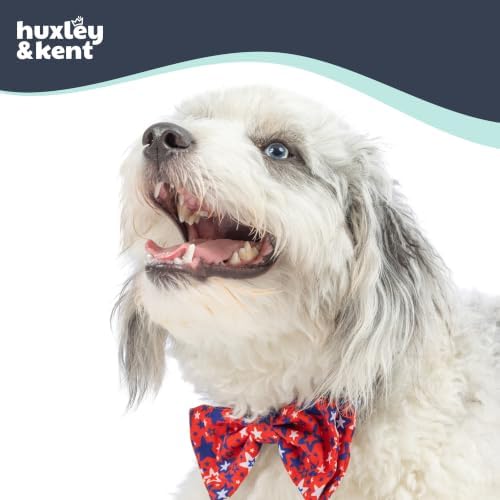 Huxley & Kent Pet Bow Tie for Dogs & Cats - 4th of July Adjustable Hook & Loop Collar Accessory - Cute & Comfortable for Holidays & Celebrations - Patriot Stars, Large | Hook & Loop Attaches to Any Collar, Soft Polyester, Lightweight & Machine Washable