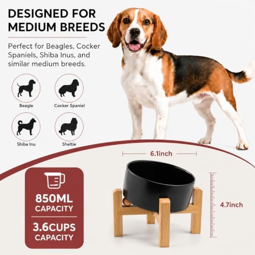 hjn Elevated Ceramic Dog Bowl/Raised Ceramic Dog Bowls with Bamboo Stand, 15°Slanted Raised Pet Feeder for Small Medium Dogs and Cats, Non-Slip Heavy Weighted Design (Black, 3.6Cup)