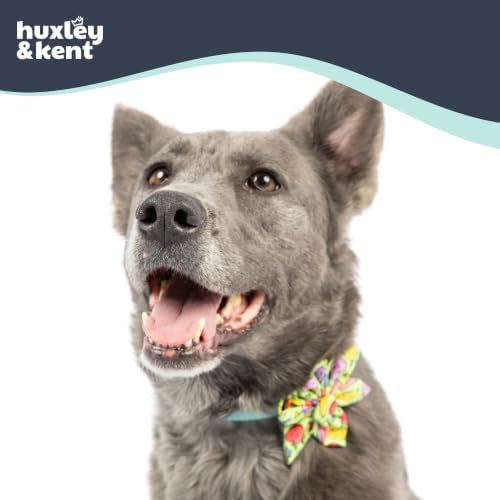 Huxley & Kent Pinwheel Collar Bow for Dogs & Cats, Tutti Fruity, Small | Clips to Any Collar with Hook & Loop, Soft, Lightweight, Machine Washable, Great for Holidays, Photos & Gifting