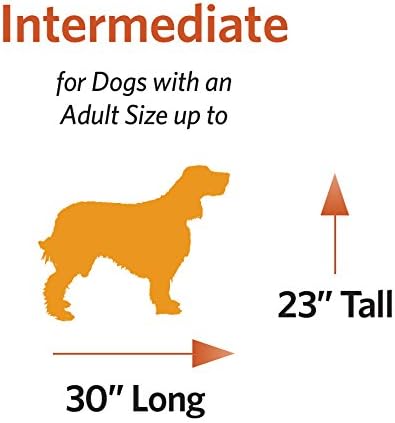 MidWest Homes for Pets Intermediate Ovation Single Door Folding Dog Crate, 36-Inches, Space-Saving Patented Up & Away Door, Leak-Proof Pan, Divider Panel, Black
