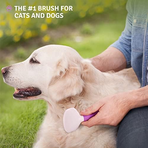 Pet Grooming Bundle - Detangling Pet Comb with Long & Short Stainless Steel Teeth for Removing Matted Fur, Knots & Tangles + Slicker Brush for Small and Large Dogs with Curly Hair