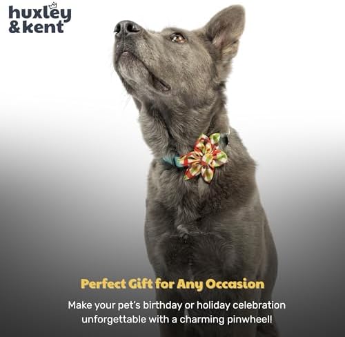Huxley & Kent Pet Pinwheel Bow for Dogs & Cats - Fall Adjustable Hook & Loop Collar Accessory - Cute & Comfortable for Holidays & Celebrations - Harvest Check, Large | Clips to Any Collar with Hook & Loop, Soft, Lightweight, Machine Washable, Great for