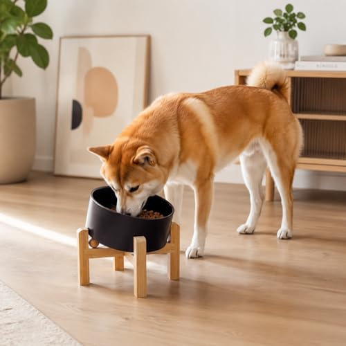 hjn Elevated Ceramic Dog Bowl/Raised Ceramic Dog Bowls with Bamboo Stand, 15°Slanted Raised Pet Feeder for Small Medium Dogs and Cats, Non-Slip Heavy Weighted Design (Black, 3.6Cup)