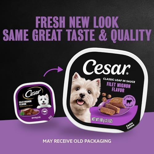Cesar Classic Loaf in Sauce Wet Dog Food, Filet Mignon, 3.5 oz, 24 Count | Made in USA, Real beef #1 ingredient, no fillers/added sugar/artificial flavors, use as meal or topper, easy peel trays