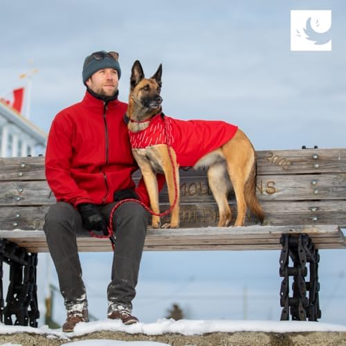 RC Pets Cascade Coat | Waterproof & Insulated Dog Jacket | Adjustable, Reflective & Lightweight for All-Weather Comfort | Size 12, Caramel