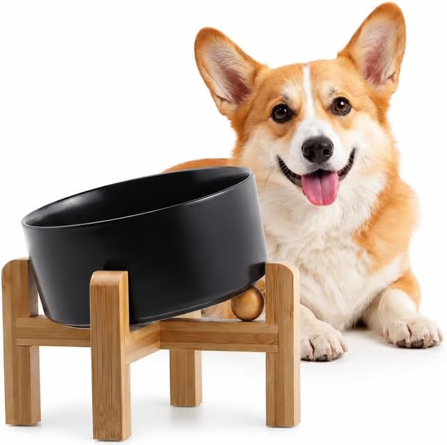 hjn Elevated Ceramic Dog Bowl/Raised Ceramic Dog Bowls with Bamboo Stand, 15°Slanted Raised Pet Feeder for Small Medium Dogs and Cats, Non-Slip Heavy Weighted Design (Black, 3.6Cup)