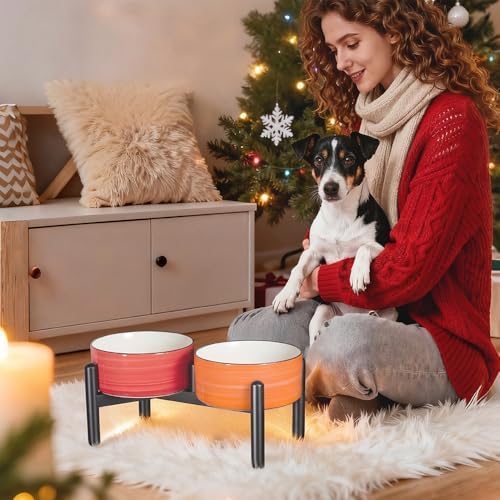 Ceramic Elevated Dog Bowl Set, 6.1''Raised Dog Food and Water Bowl Set with Non-Slip Stainless Steel Stand, Double Raised Dish for Small and Medium Breed, 3.5 Cups / 22 Fl Oz, Sunset Duo
