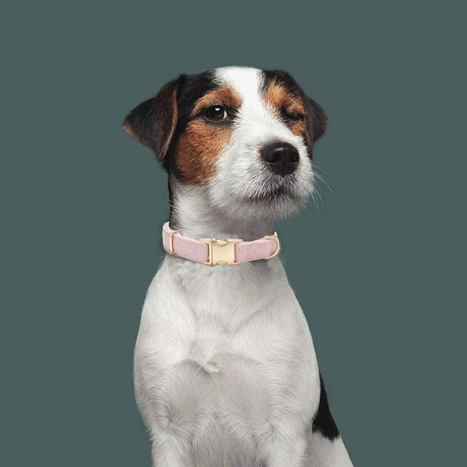 Soft Cotton Hemp Dog Collar with Metal Buckle Adjustable Twilled Dog Collars for Female Small Medium Large Dogs(Pink,Medium)