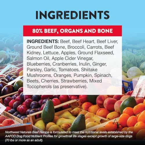 Northwest Naturals Freeze-Dried Beef Dog Food - Bite-Sized Nuggets - Grain-Free, High-Protein, Raw Diet, Human-Grade Ingredients, All Natural, Premium Quality, Healthy & Nutritious, Made in USA, 25 Oz