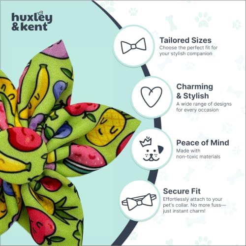 Huxley & Kent Pinwheel Collar Bow for Dogs & Cats, Tutti Fruity, Small | Clips to Any Collar with Hook & Loop, Soft, Lightweight, Machine Washable, Great for Holidays, Photos & Gifting
