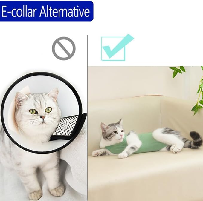 Cat Recovery Suit Cat Onesie for Cats After Surgery Female Male Spay Kitten Neuter Surgical Bodysuit Post Surgery Cone of Shame Alternative Anti Licking(Green, Medium)
