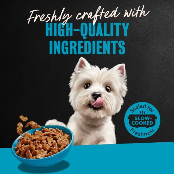 Cesar Filets in Gravy Wet Dog Food, Steak Mix Variety, 3.5 oz, 24 Count | Filet Mignon, New York Strip & Prime Rib, real meat, slow-cooked, no fillers/added sugar/artificial flavors, easy peel trays