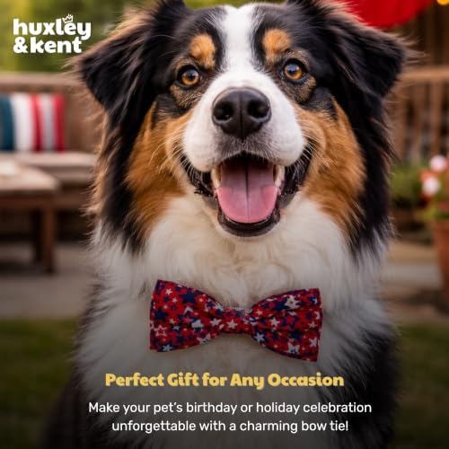 Huxley & Kent Pet Bow Tie for Dogs & Cats - 4th of July Adjustable Hook & Loop Collar Accessory - Cute & Comfortable for Holidays & Celebrations - Patriot Stars, Large | Hook & Loop Attaches to Any Collar, Soft Polyester, Lightweight & Machine Washable