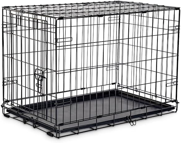 EveryYay Essentials 1-Door Folding Dog Crate, 30.5" L X 19.2" W X 21.5" H