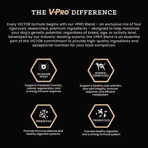 VICTOR Grain Free Chicken Meal & Sweet Potato Dry Dog Food, 5 lb | Super Premium Dog Food, 33% Protein, 16% Fat, For Dogs of All Life Stages, High Protein Kibble for Normally Active Dogs