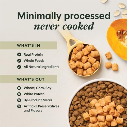 Instinct Freeze Dried Mixers, Dog Food Toppers, Gut Health, 5.5 oz. Bag | Freeze-dried raw meal topper or treat, functional whole foods, fiber, and probiotics for digestive support