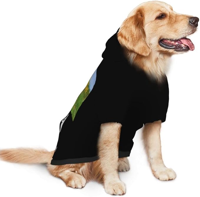 Customized Dog Hoodie with Name Logo Personalized Text Soft & Warm for Puppy Sweatshirt Hooded for Small Medium Large Dogs Girl/Boy Cats/Kitten, Orange, M