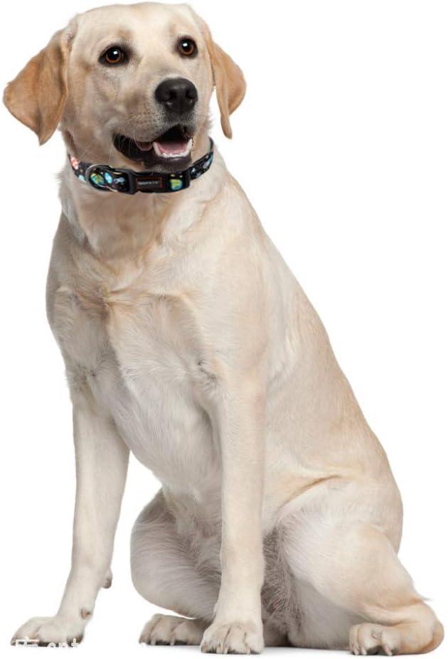 QQPETS Adjustable Soft Dog Collar: Print Flower Pink Multicolor Cute Patterns for XS Small Medium Large Pet Girl Boy Puppy Walking Running Training (XS, Space)
