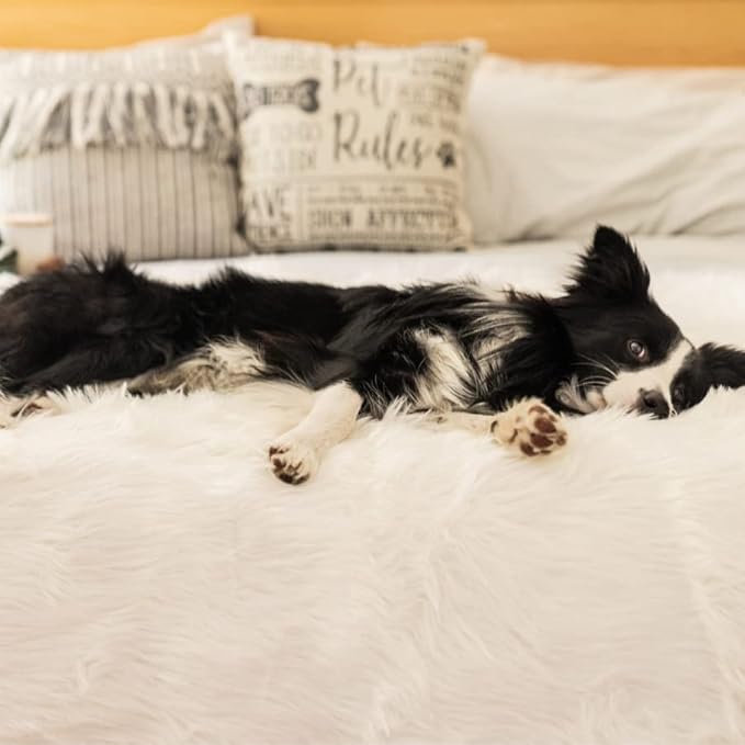 PupProtector Waterproof Throw Blanket for Dogs and Cats, Pet Blanket Cover for Couches, Sofas, Beds, Car Seats, Furniture, Calming Soft Faux Fur, Polar White, Large (80" L x 62" W)