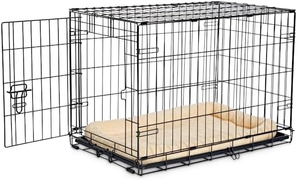 EveryYay Essentials 1-Door Folding Dog Crate, 30.5" L X 19.2" W X 21.5" H