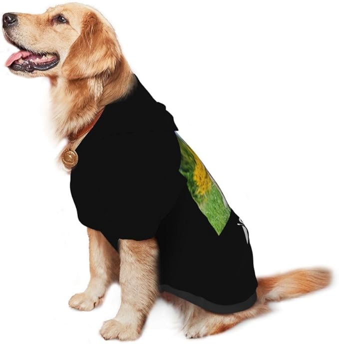 Custom Dog Clothes with Photo Name Logo Personalized Dog Sweaters for Small Medium Large Dogs Breathable Warm, Lime, M