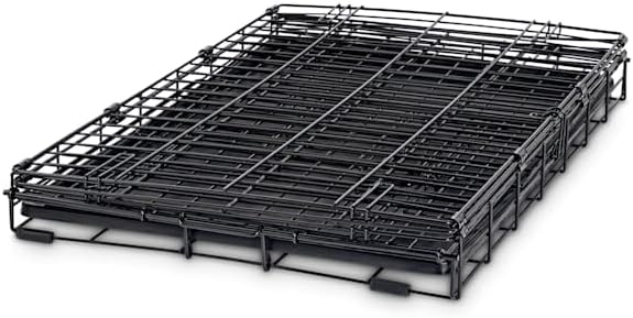 EveryYay Essentials 1-Door Folding Dog Crate, 30.5" L X 19.2" W X 21.5" H
