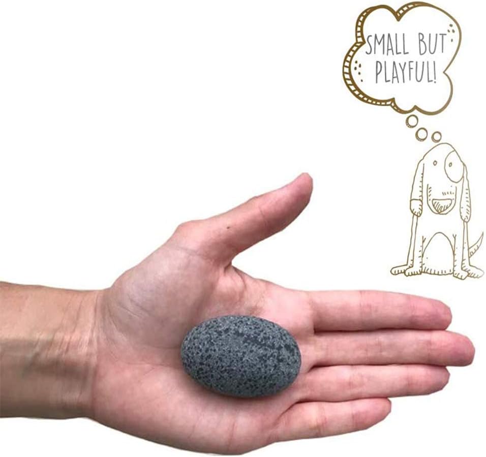 Pet Rock - The Original by Gary Dahl