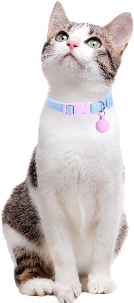 2 Pack Eastic Cat Collar with Solid-color Ball Pendant Accessory Puppy