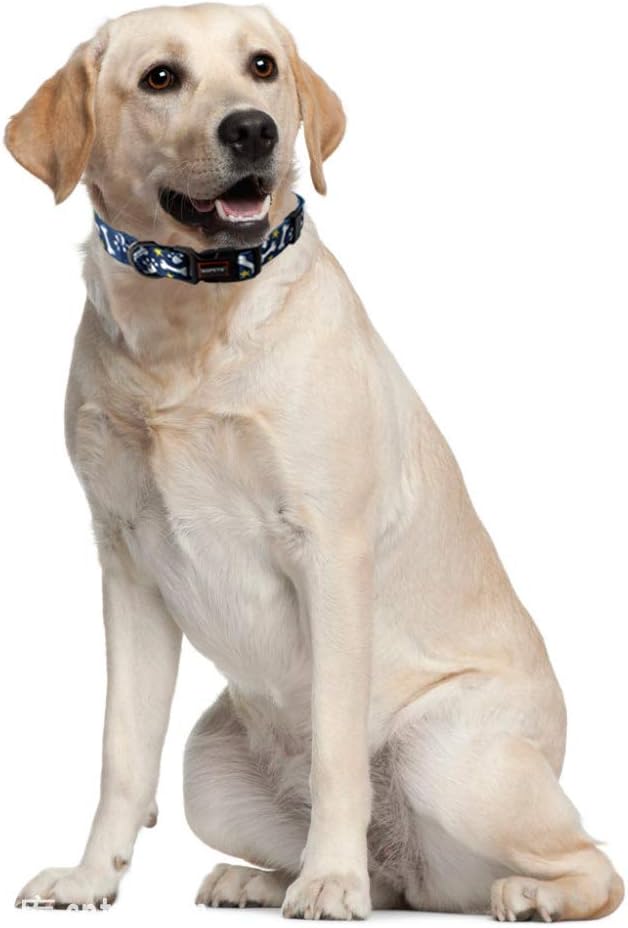 QQPETS Adjustable Soft Dog Collar: Print Flower Pink Multicolor Cute Patterns for XS Small Medium Large Pet Girl Boy Puppy Walking Running Training (XS, Bone)