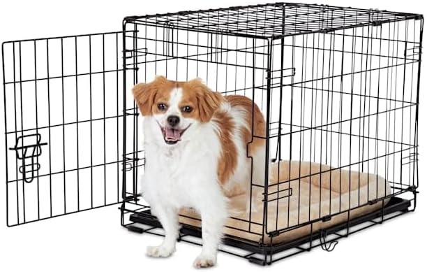 EveryYay Essentials 1-Door Folding Dog Crate, 24.5" L X 17.5" W X 19.5" H