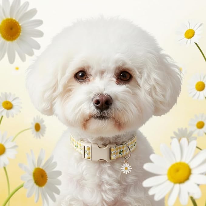 Cute Dog Collar, Yellow Plaid Dog Collar with White Floral Pattern, Spring Summer Design Floral Collar for Girls Boys Small Dogs