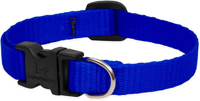 LupinePet Basics 1/2" Blue 6-9" Adjustable Collar for Extra Small Dogs