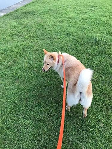 AmaGood Dog/Puppy Obedience Recall Training Agility Lead-15ft 20ft 30ft 50ft Long Leash-for Dog Training,Tie Out,Play,Safety,Camping (30 feet, Orange)