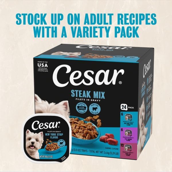 Cesar Filets in Gravy Wet Dog Food, Steak Mix Variety, 3.5 oz, 24 Count | Filet Mignon, New York Strip & Prime Rib, real meat, slow-cooked, no fillers/added sugar/artificial flavors, easy peel trays