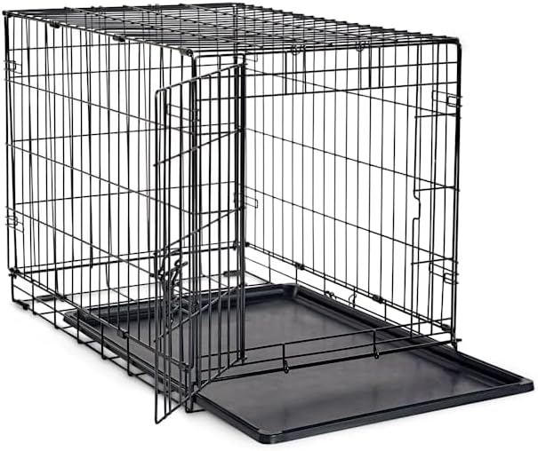 EveryYay Essentials 1-Door Folding Dog Crate, 30.5" L X 19.2" W X 21.5" H
