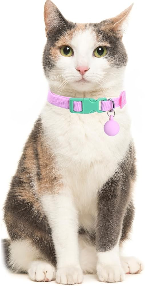 2 Pack Eastic Cat Collar with Solid-color Ball Pendant Accessory Puppy