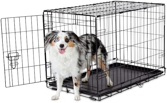 EveryYay Essentials 1-Door Folding Dog Crate, 30.5" L X 19.2" W X 21.5" H