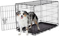 EveryYay Essentials 1-Door Folding Dog Crate, 30.5" L X 19.2" W X 21.5" H
