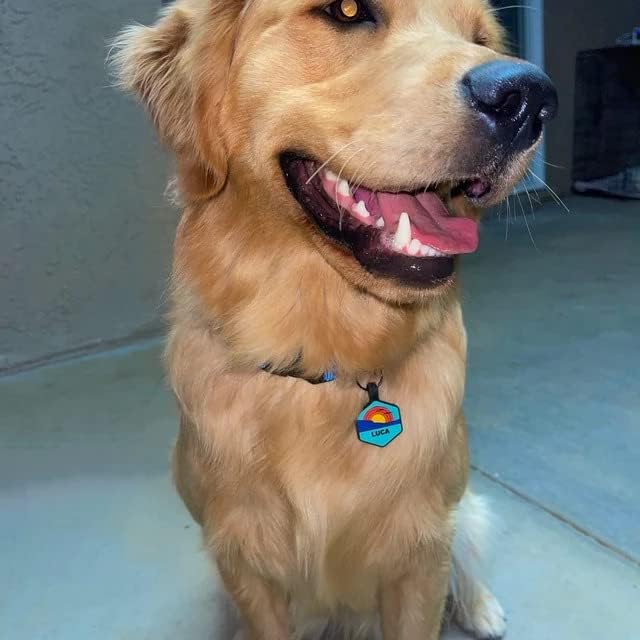 Silent Dog Tag Personalized with 5 Lines of Custom Deep Engraved Durable Soundless Silicone Pet ID Name Tag Round Mountain Blue