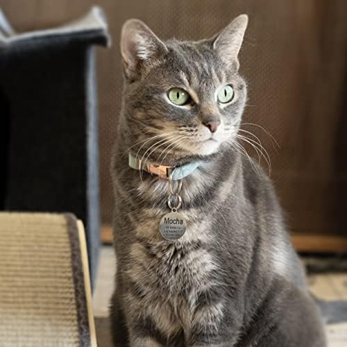 Engraved Cat Name Tags Personalized - Stainless Steel Name Tag Pet Identification - Small Dog ID Tags Personalized for up to 4 Lines of Text - Pet ID Tags for Cat Collar - Ghost