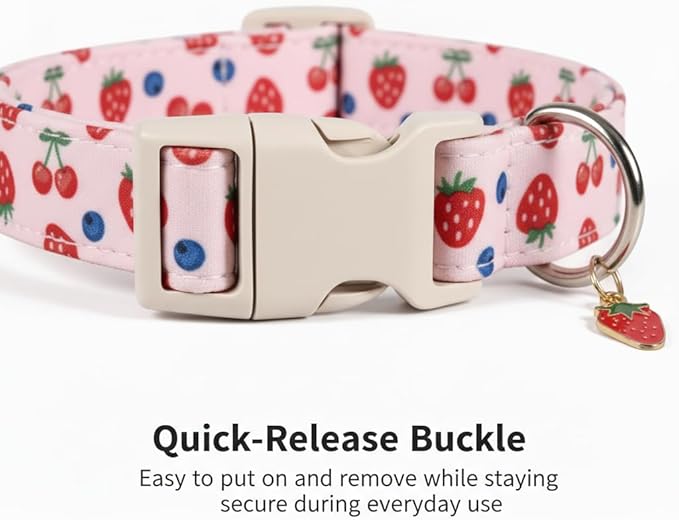 Small Dog Collar, Cute Dog Collar for Puppy, Extra Small & Small Dogs, Strawberry Blueberry Collar for Girl Female Dogs, XS